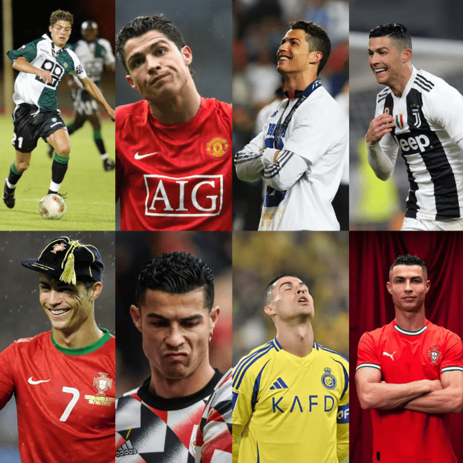 sports-industry-database